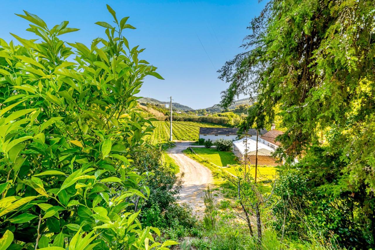 Vila Quinta Do Boicao Lisboa Exteriér fotografie