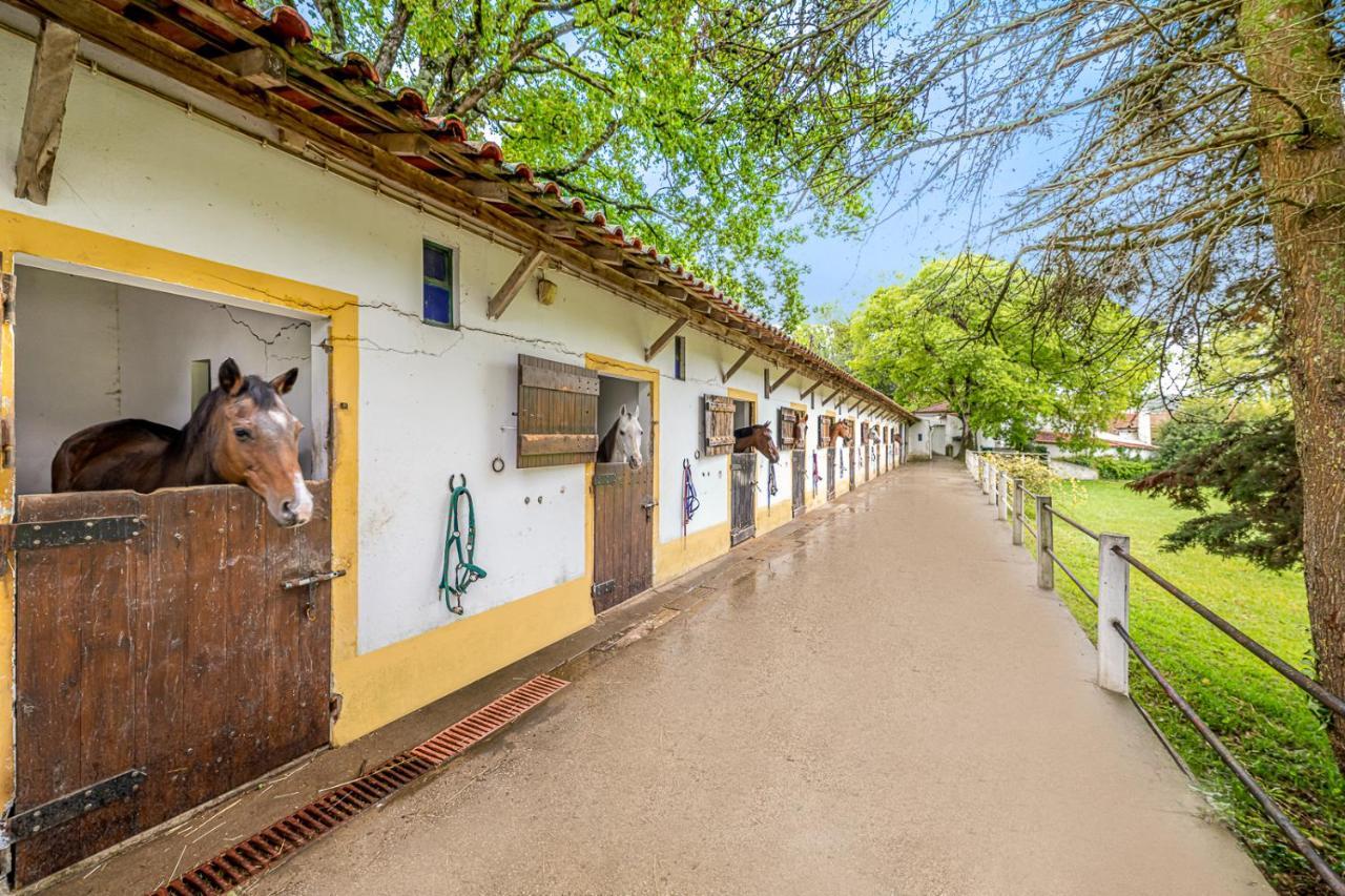 Vila Quinta Do Boicao Lisboa Exteriér fotografie